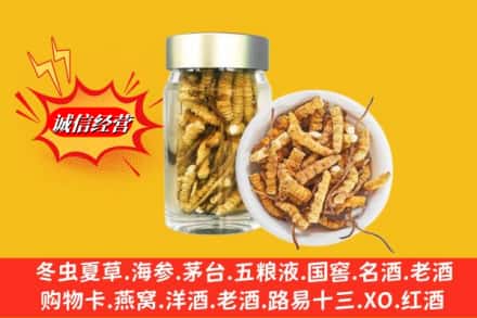 东莞市名酒回收散虫草.jpg